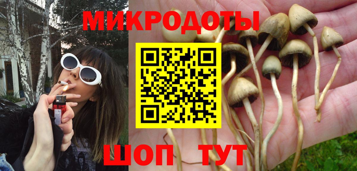 Галлюциногенные грибы ЛСД Черняховск
